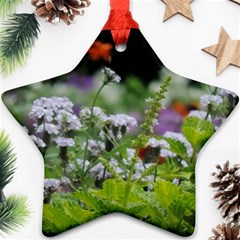 Wild Flowers Ornament (star) 