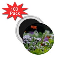 Wild Flowers 1 75  Magnets (100 Pack) 