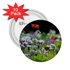 Wild Flowers 2 25  Buttons (10 Pack) 