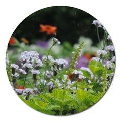 Wild Flowers Magnet 5  (round)