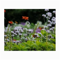 Wild Flowers Small Glasses Cloth