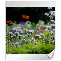 Wild Flowers Canvas 8  X 10 