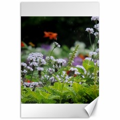 Wild Flowers Canvas 20  X 30  