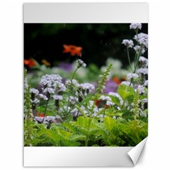 Wild Flowers Canvas 36  X 48  