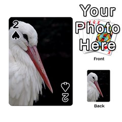 Stork Bird Playing Cards 54 Designs 