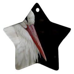 Stork Bird Star Ornament (two Sides) 