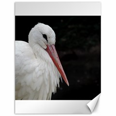 Stork Bird Canvas 12  X 16   by picsaspassion