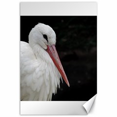 Stork Bird Canvas 12  X 18  