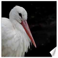 Stork Bird Canvas 16  X 16  