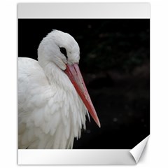 Stork Bird Canvas 16  X 20  