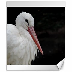 Stork Bird Canvas 20  X 24  