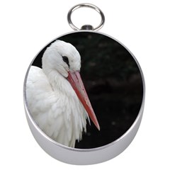 Stork Bird Silver Compasses by picsaspassion