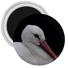 Wild Stork Bird 3  Magnets by picsaspassion