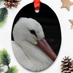 Wild Stork Bird Ornament (oval) 