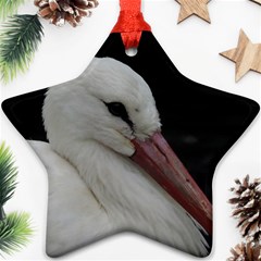 Wild Stork Bird Ornament (star)  by picsaspassion