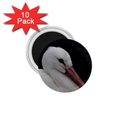 Wild Stork Bird 1 75  Magnets (10 Pack)  by picsaspassion