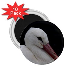 Wild Stork Bird 2 25  Magnets (10 Pack)  by picsaspassion