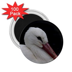 Wild Stork Bird 2 25  Magnets (100 Pack)  by picsaspassion