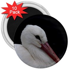 Wild Stork Bird 3  Magnets (10 Pack)  by picsaspassion