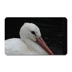 Wild Stork Bird Magnet (rectangular) by picsaspassion