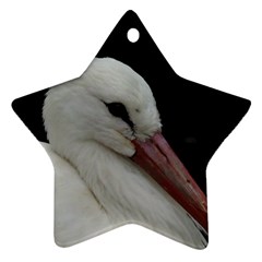 Wild Stork Bird Star Ornament (two Sides) 