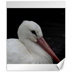 Wild Stork Bird Canvas 8  X 10  by picsaspassion