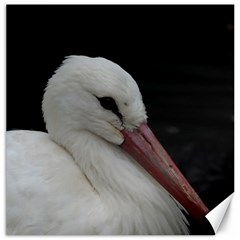 Wild Stork Bird Canvas 20  X 20  