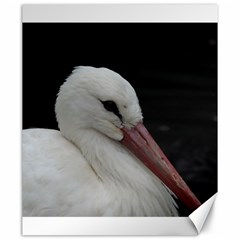 Wild Stork Bird Canvas 20  X 24   by picsaspassion