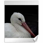 Wild Stork bird Canvas 11  x 14   10.95 x13.48  Canvas - 1