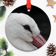 Wild Stork Bird, Close-up Ornament (round) 