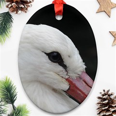 Wild Stork Bird, Close-up Ornament (oval) 