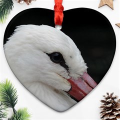 Wild Stork Bird, Close-up Ornament (heart) 