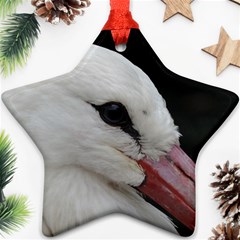 Wild Stork Bird, Close-up Ornament (star) 