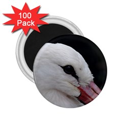 Wild Stork Bird, Close-up 2 25  Magnets (100 Pack)  by picsaspassion