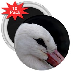 Wild Stork Bird, Close-up 3  Magnets (10 Pack)  by picsaspassion