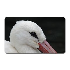 Wild Stork Bird, Close-up Magnet (rectangular) by picsaspassion