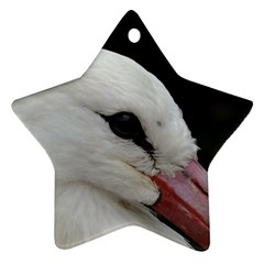 Wild Stork Bird, Close-up Star Ornament (two Sides) 