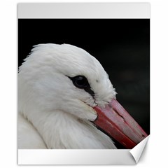 Wild Stork Bird, Close-up Canvas 16  X 20   by picsaspassion