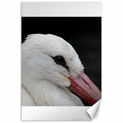 Wild Stork Bird, Close-up Canvas 20  X 30   by picsaspassion