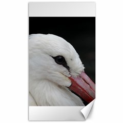 Wild Stork Bird, Close-up Canvas 40  X 72   by picsaspassion