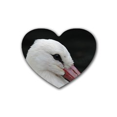 Wild Stork Bird, Close-up Rubber Coaster (heart) 