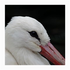 Wild Stork Bird, Close-up Medium Glasses Cloth