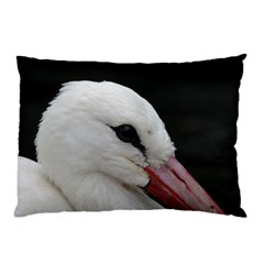 Wild Stork Bird, Close-up Pillow Case