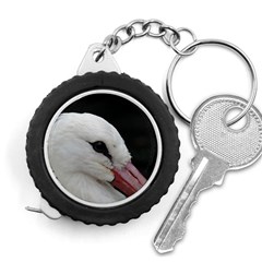 Wild Stork Bird, Close-up Measuring Tapes