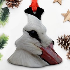 Wild Stork Bird, Close-up Christmas Tree Ornament (2 Sides)