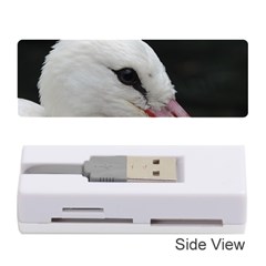 Wild Stork Bird, Close-up Memory Card Reader (stick) 