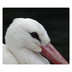 Wild Stork Bird, Close-up Double Sided Flano Blanket (small) 