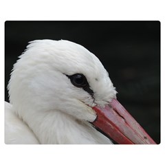 Wild Stork Bird, Close-up Double Sided Flano Blanket (medium) 