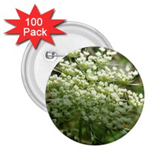 White Summer Flowers 2 25  Buttons (100 Pack) 