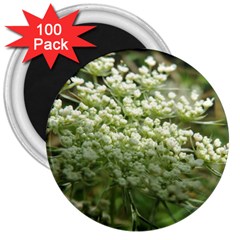 White Summer Flowers 3  Magnets (100 Pack)